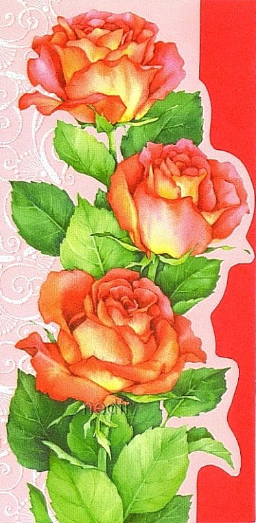 Розы - розы - оригинал