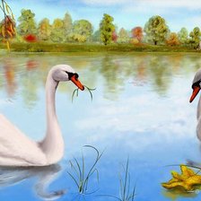 лебеди на озере