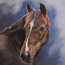 Схема вышивки «рыжий конь»