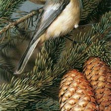 Схема вышивки «птицы на елке»