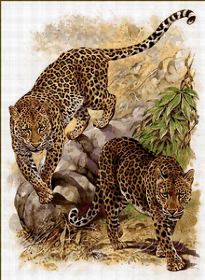 дикие животные - предпросмотр