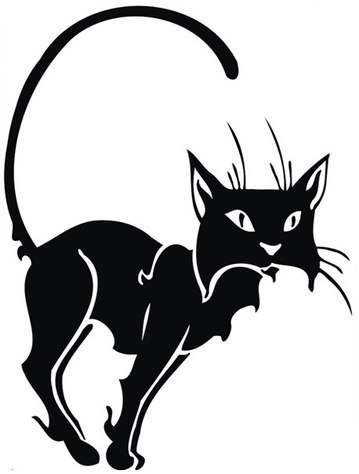 киса - кот, монохром, животные - оригинал