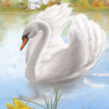Оригинал схемы вышивки «белый лебедь» (№372034)