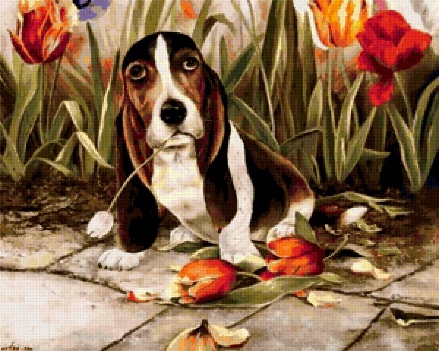 щенок  среди цветов - предпросмотр