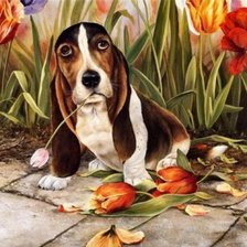 щенок  среди цветов