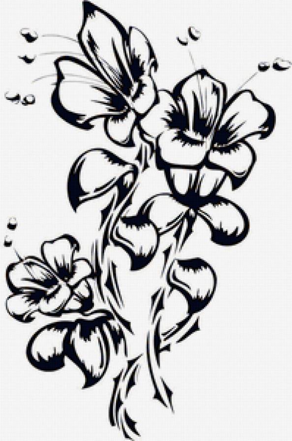 wdtns - предпросмотр