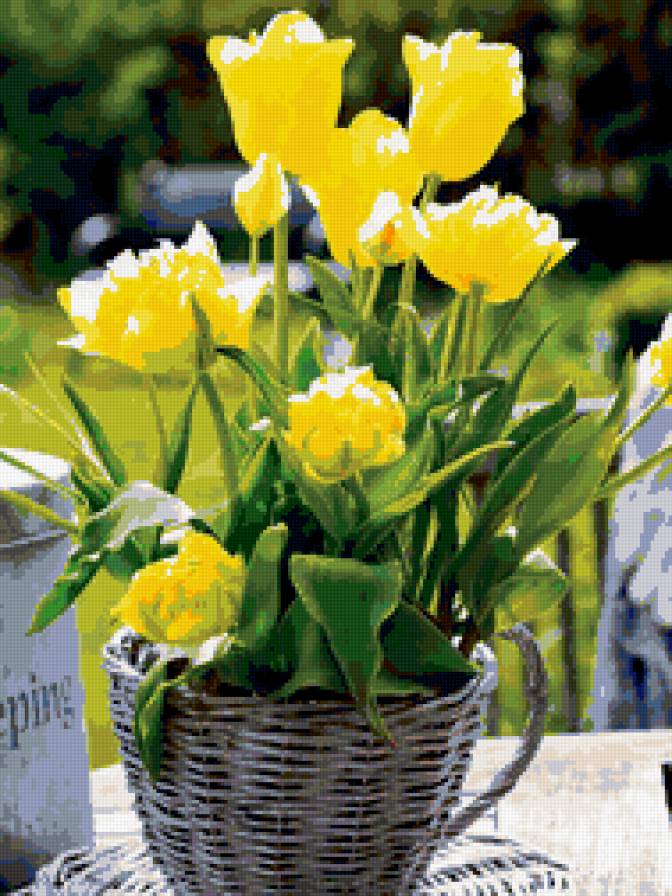 Тюльпаны - цветы, тюльпаны - предпросмотр