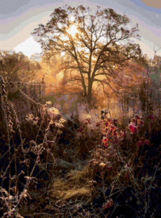 Утро - утро, природа, лес, поле - предпросмотр