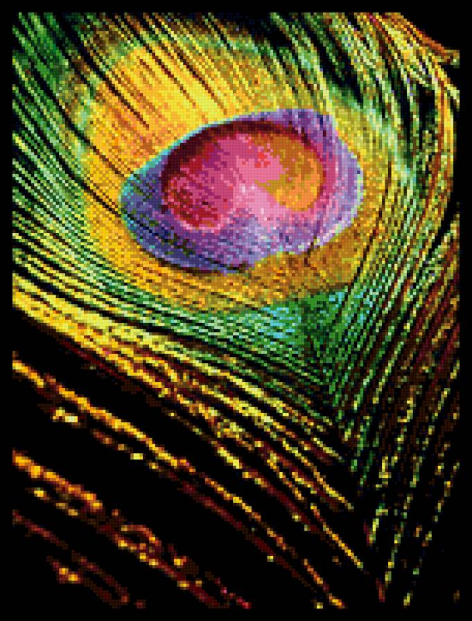 перо павлина - предпросмотр