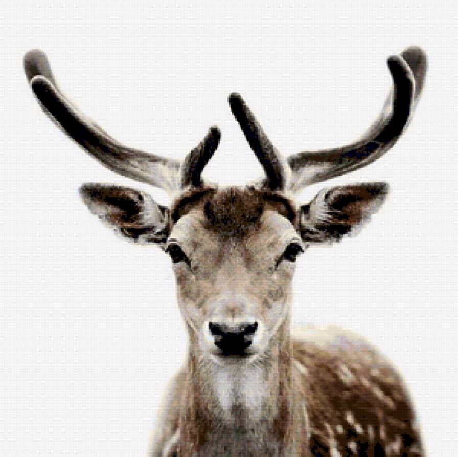 №372310 - предпросмотр