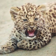 Оригинал схемы вышивки «№372449»