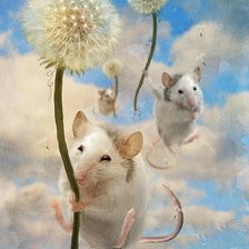 Оригинал схемы вышивки «№372499»