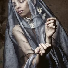 Схема вышивки «№372506»