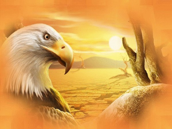 картина - картина - оригинал