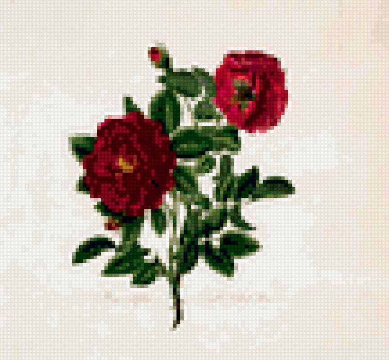 мини бук - предпросмотр