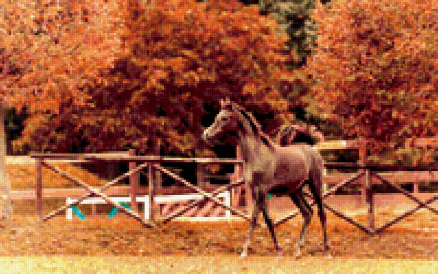 Прелесть, а не лошадка - предпросмотр