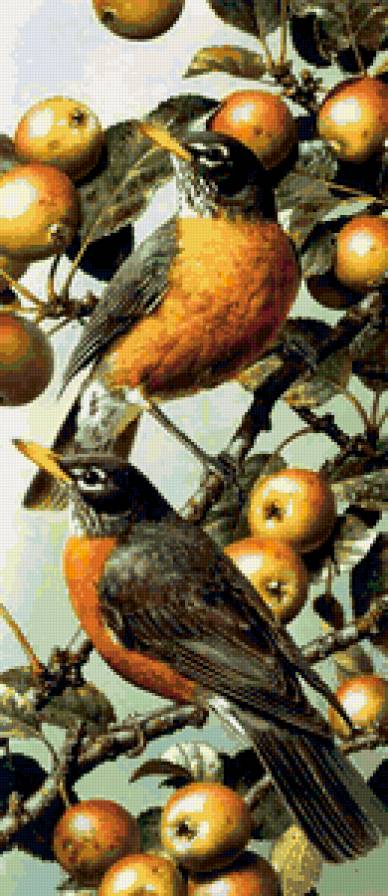 птицы на яблоне - предпросмотр