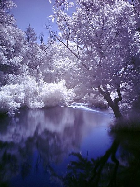 Красота мира 3 - оригинал