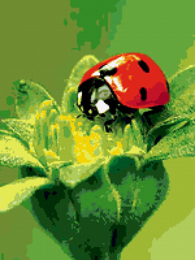 №372923 - божья коровка, цветок - предпросмотр