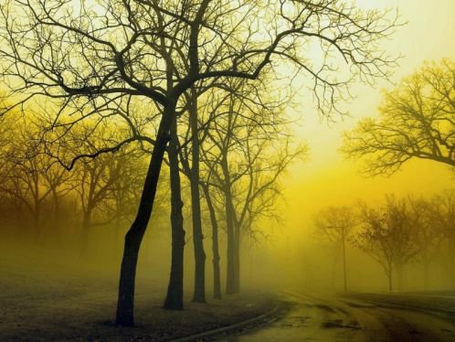 в тумане - оригинал