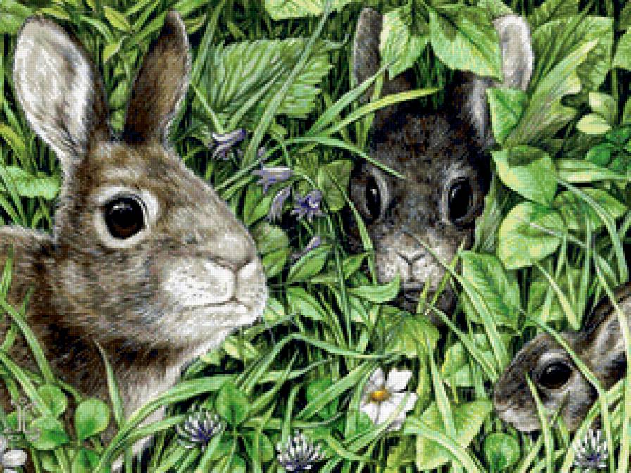 кролики - лето, трава - предпросмотр