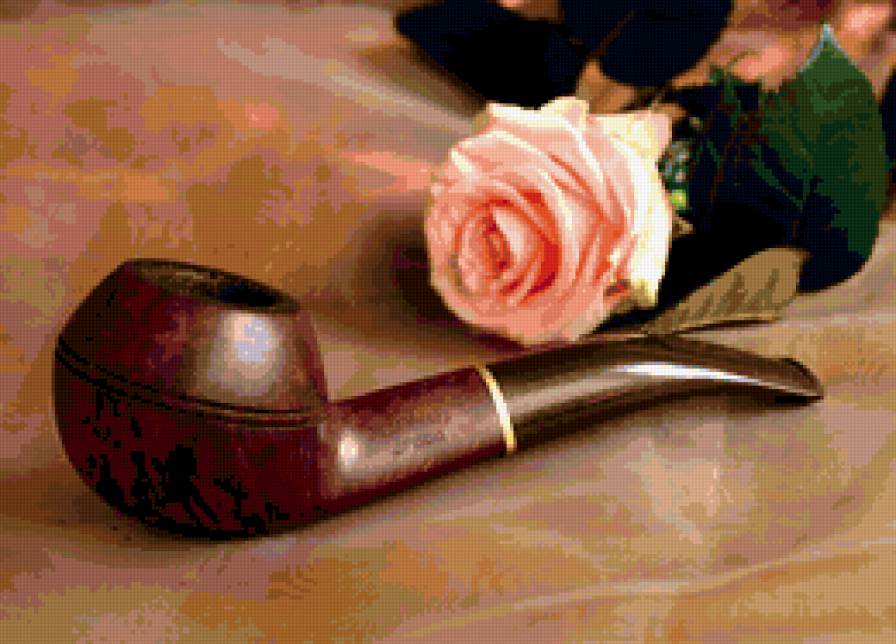 натюрморт - роза, натюрморт, трубка - предпросмотр