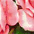 Предпросмотр схемы вышивки «розы» (№373031)