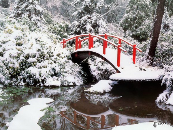 №373136 - оригинал