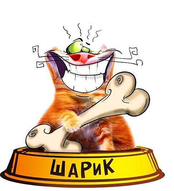 покорми собачку - оригинал