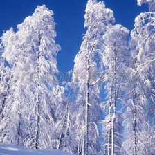 Схема вышивки «№373205»