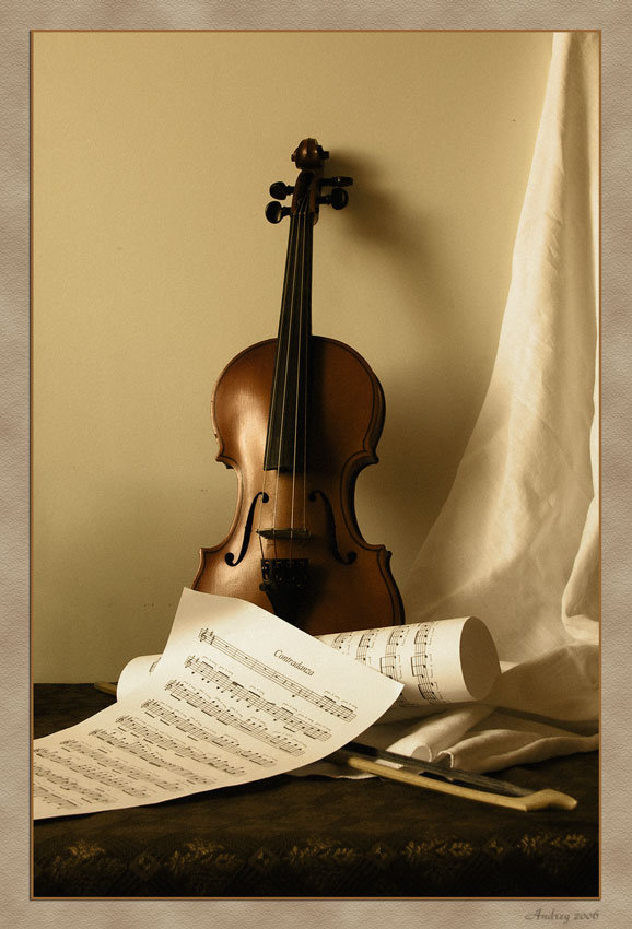 №373247 - оригинал