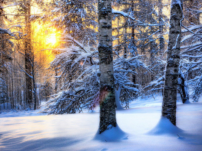 №373343 - оригинал