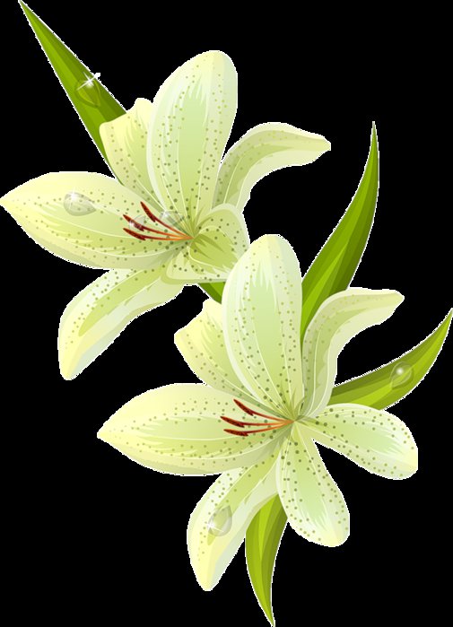 №373366 - оригинал