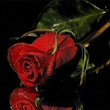 Схема вышивки «№373402»