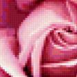 Предпросмотр схемы вышивки «роза» (№373486)