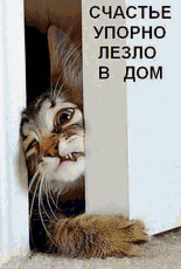 счастье))) - коты, животные - предпросмотр