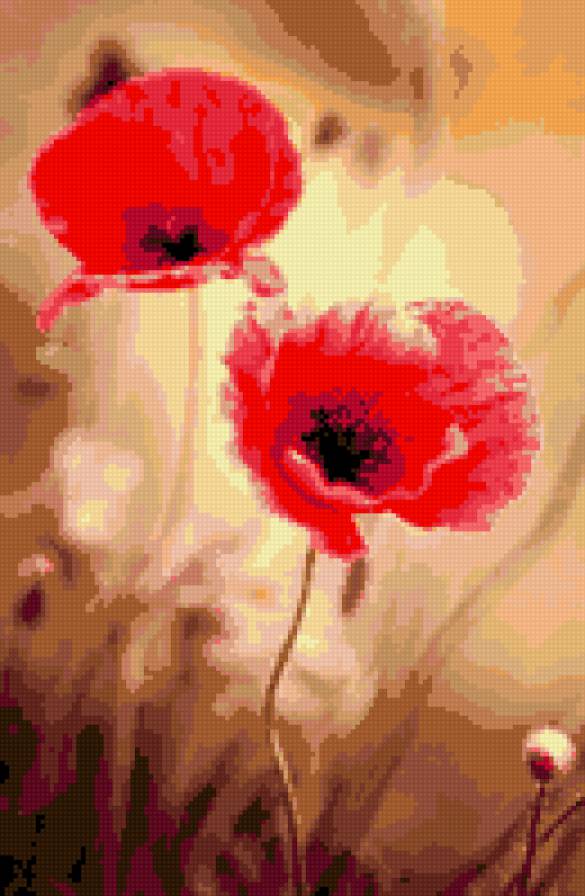 маки - маки - предпросмотр