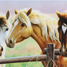 Схема вышивки «№373867»