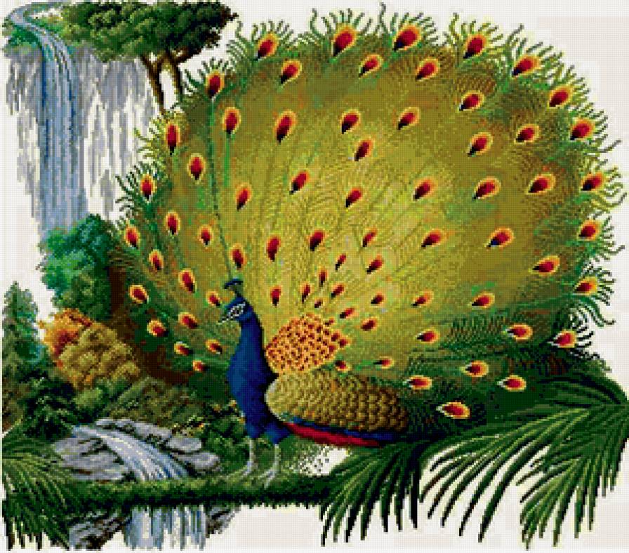 №373969 - предпросмотр