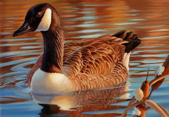 №374325 - оригинал