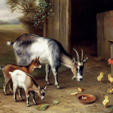 Схема вышивки «№374381»