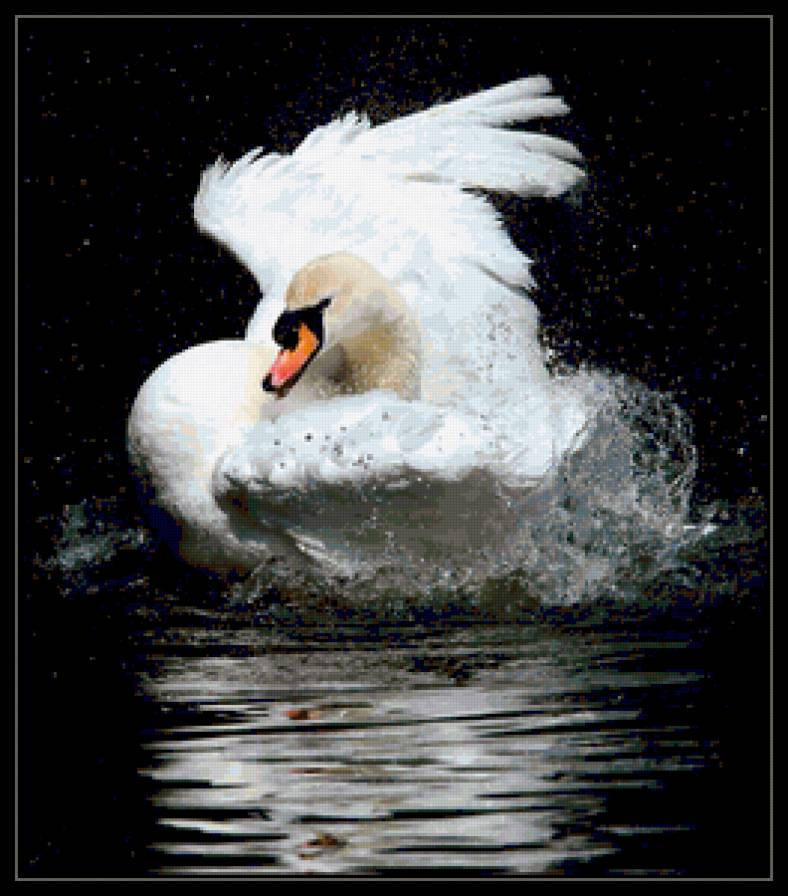 №374390 - предпросмотр