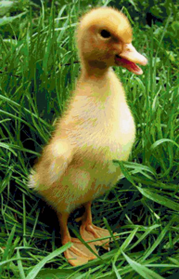 №374402 - предпросмотр