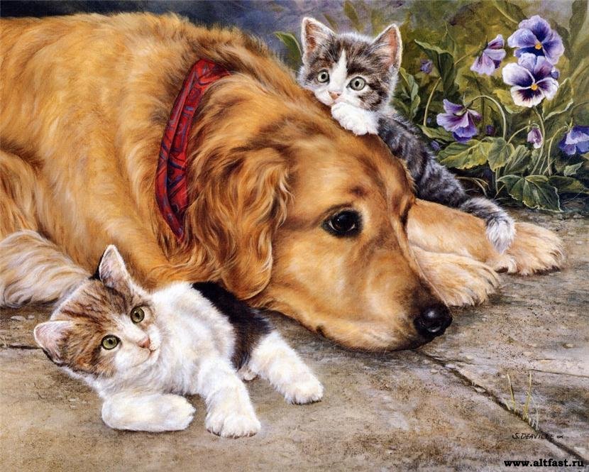 друзья - собака, друзья, животные, котята, картина - оригинал