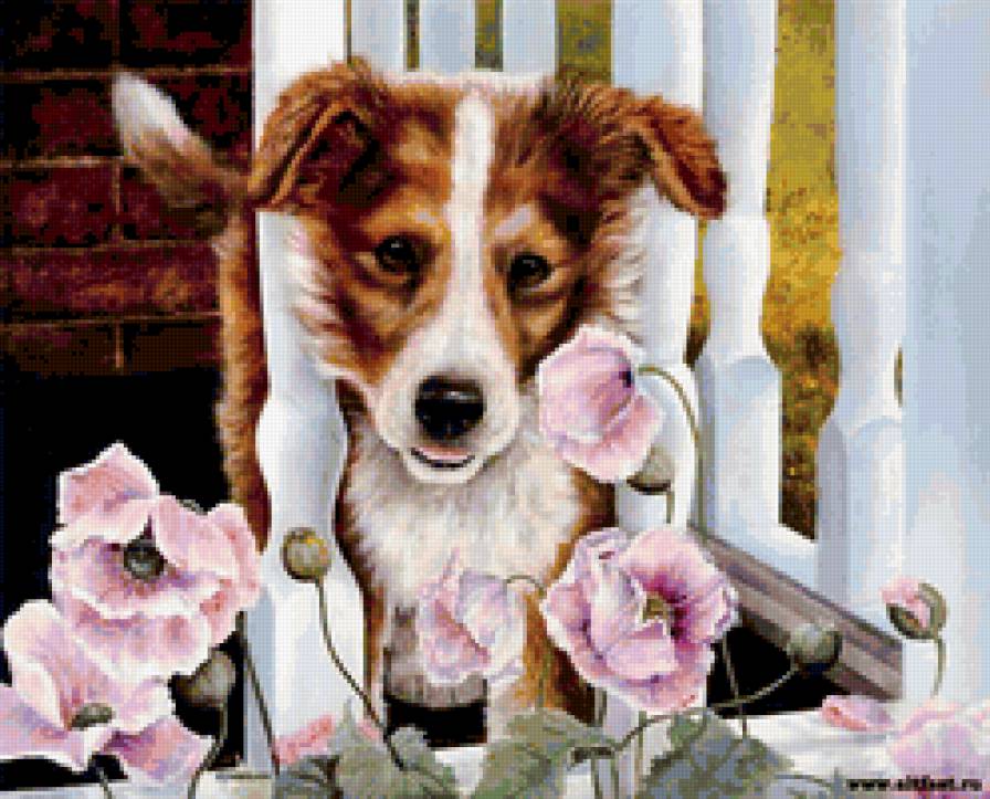 дружок - цветы, картина, животные, собака - предпросмотр