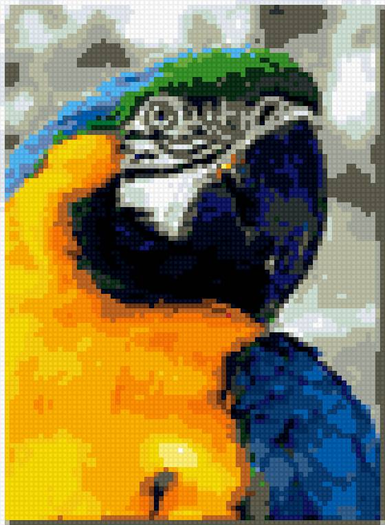 попугай м - предпросмотр