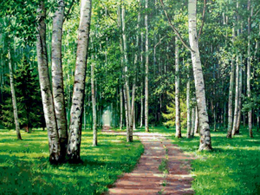 лесная тропа - березы, лето, природа, пейзаж - предпросмотр