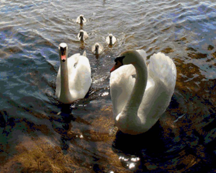 №374776 - предпросмотр