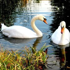 Схема вышивки «№374779»