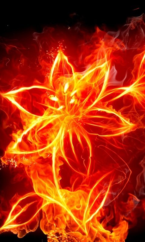 огненный цветок - оригинал